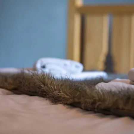 Le Holzberg Et Ses Prázdninový dům Osenbach