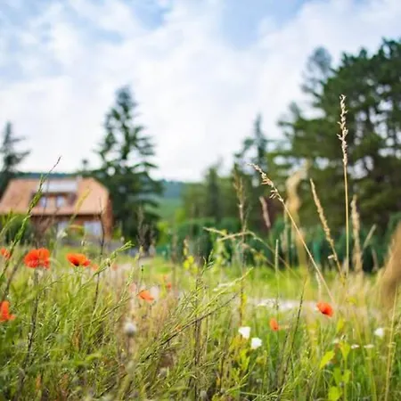 Prázdninový dům Le Holzberg Et Ses *
