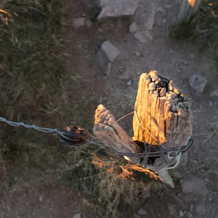 Le Holzberg Et Ses * Osenbach