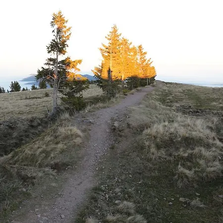 Le Holzberg Et Ses Osenbach