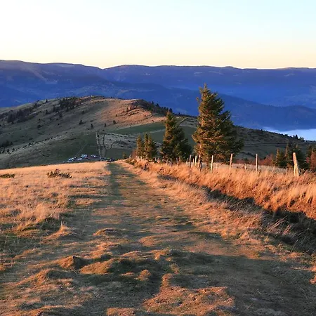 Le Holzberg Et Ses *