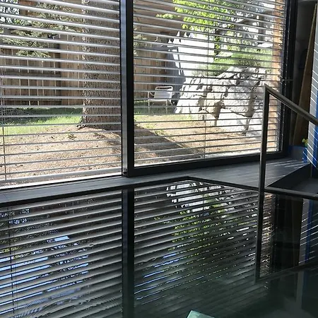 Prázdninový dům Le Holzberg Et Ses Osenbach