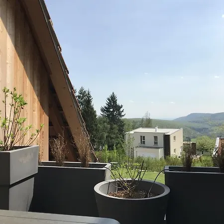 Le Holzberg Et Ses Ferienhaus Osenbach