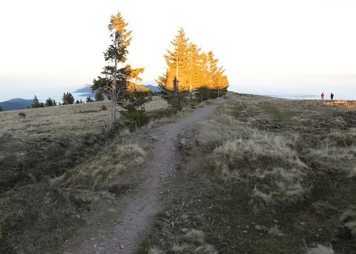 Le Holzberg Et Ses Osenbach