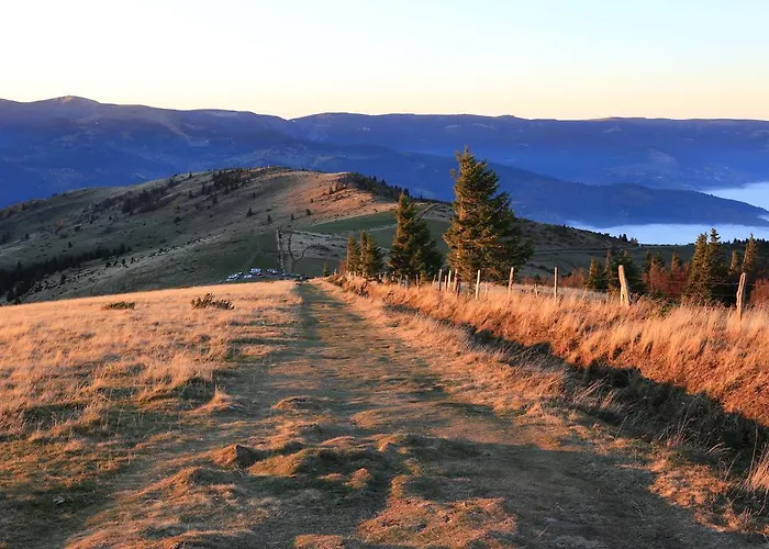 Le Holzberg Et Ses *